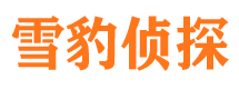 高安市婚外情调查